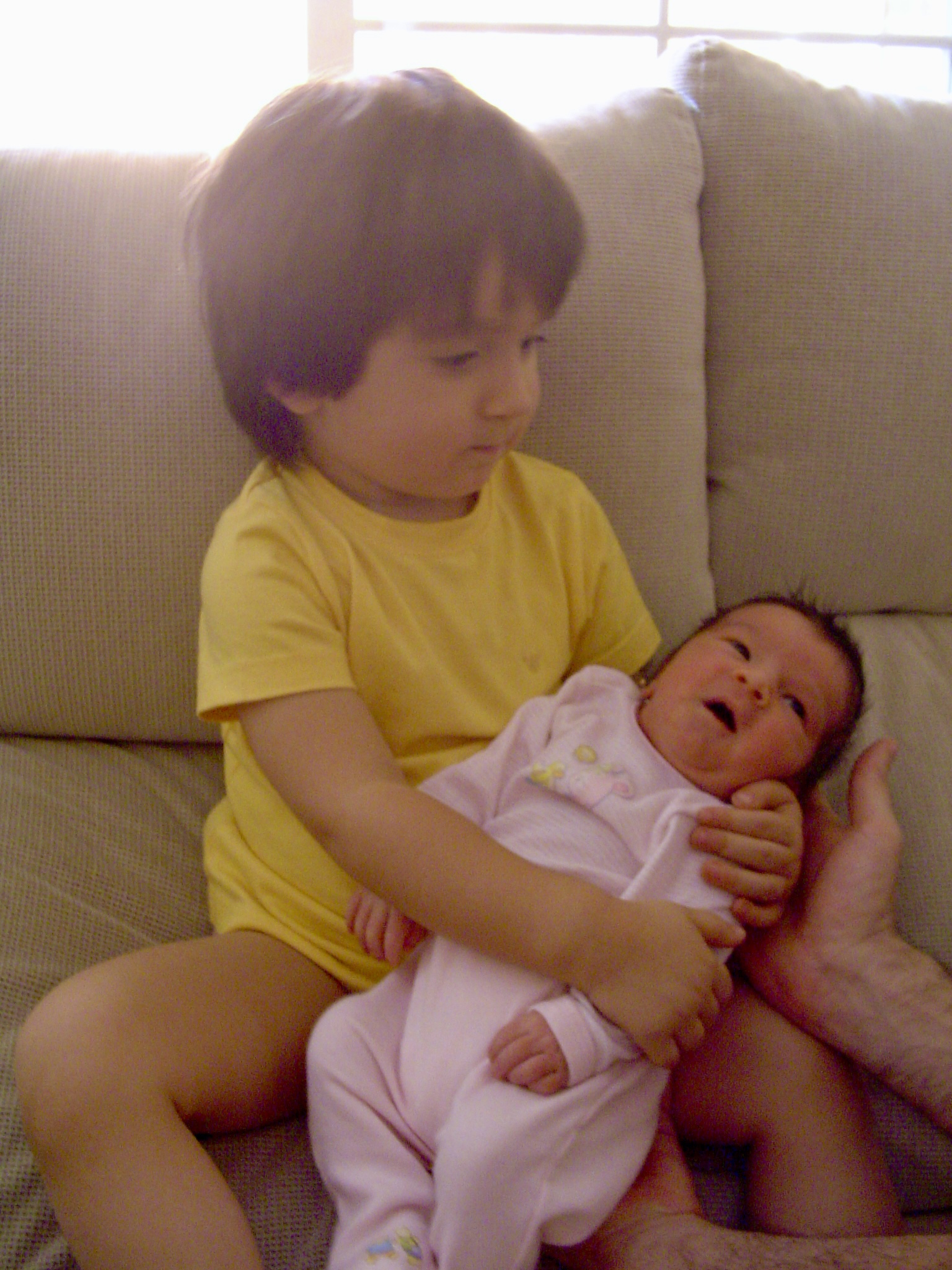 Miniatura Divertidas